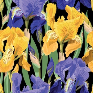 Belles & Whistles Floral on Black - Rice Decoupage Paper- Dixie Belle