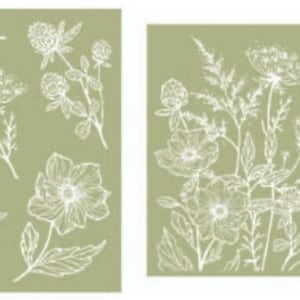 May include: Two illustrations of white wildflowers on a green background. The first illustration features a variety of flowers, including clover, dandelions, and Queen Anne's Lace. The second illustration features a cluster of wildflowers, including Queen Anne's Lace, clover, and other wildflowers.