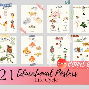 Set Of Educational Posters for kids and toddlers, Life Cycle, Playroom prints, Educational Learning Posters,
