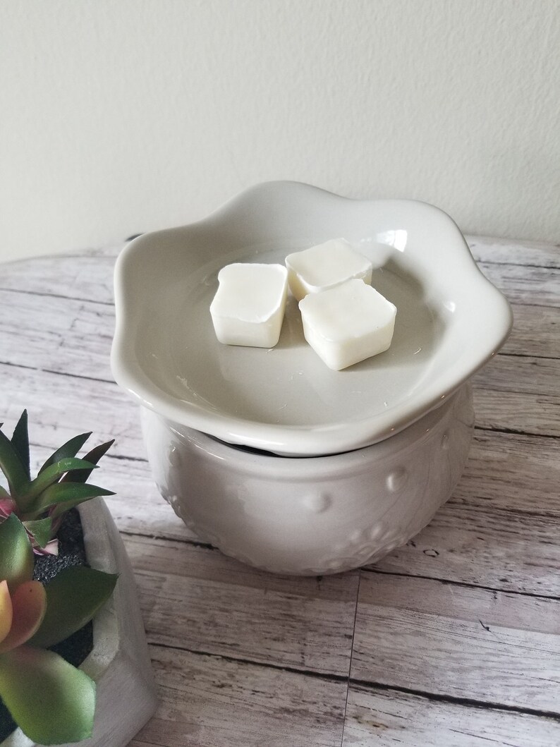 Coconut Creme Wax Melts Coconut Wax Melts Coconut Fragrance Etsy
