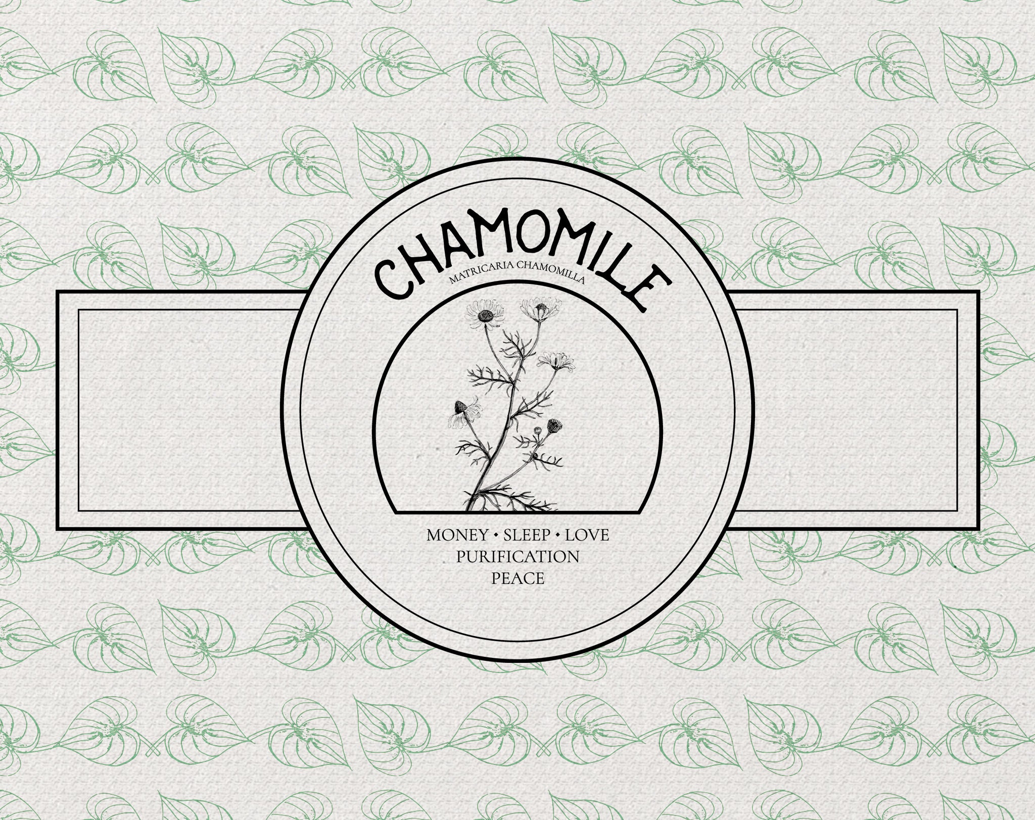 Witchcraft Herb Labels Printable | Etsy