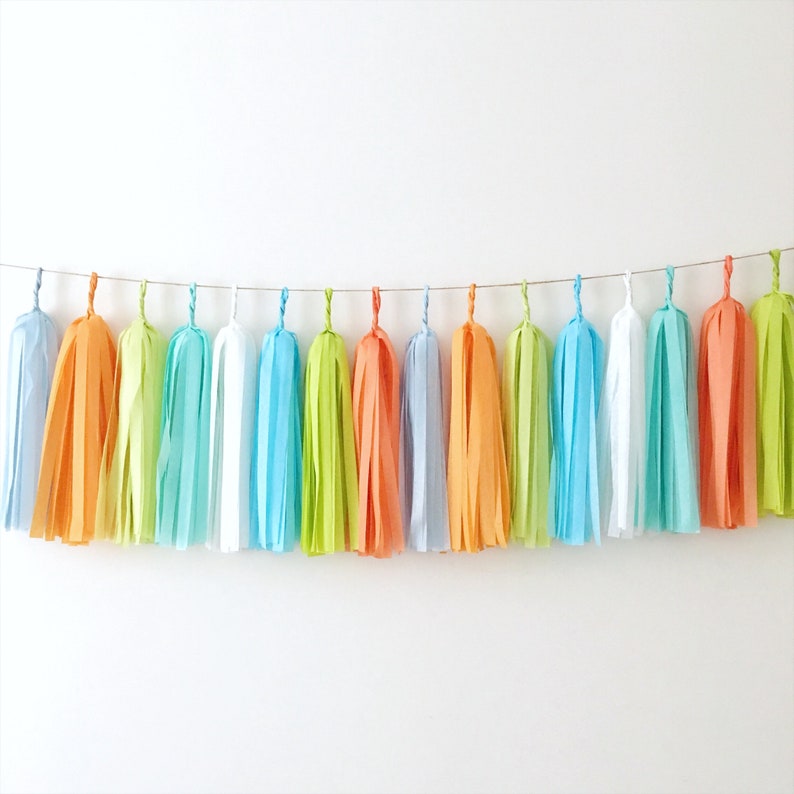 Little Monster 1st Birthday Party Backdrop Blue Orange Tassel Etsy
