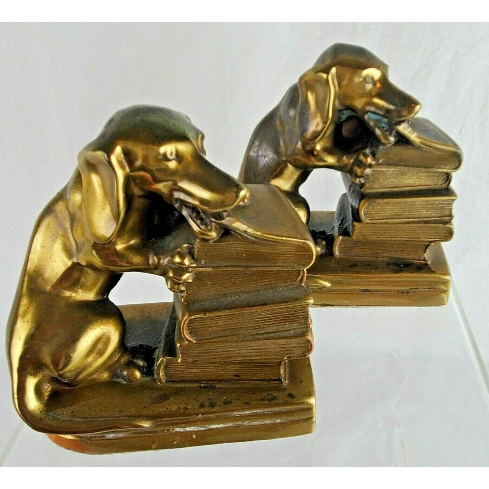 Dachshund Dog Bookend Set Chewing Biting Stack of Books Brass Etsy