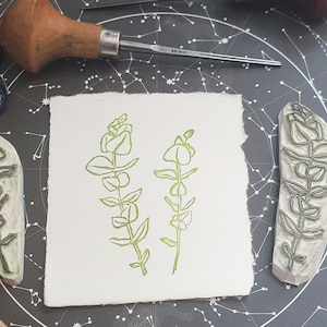 Set eucalyptuszegels - gravure van ambachtelijke stempel handgemaakt briefpapier heksenbotanische grimoire gifpad groene heks