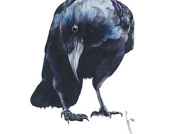 Watercolor Crow Art Print, Bird Illustration