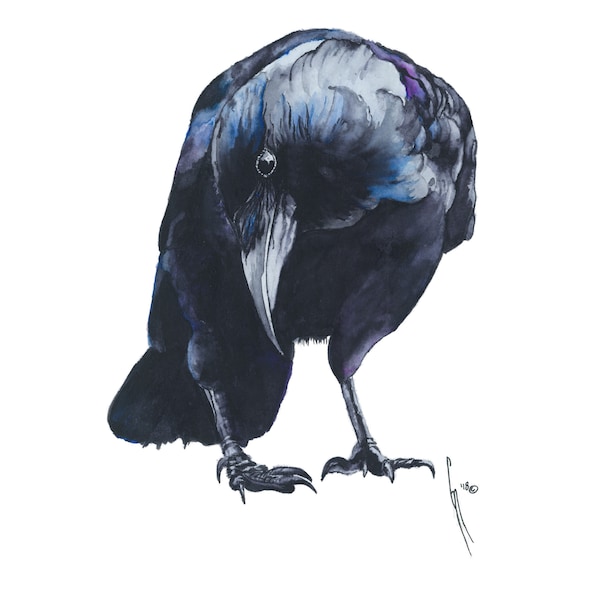 Crow