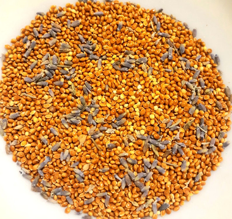 Organic Lavender Eye Pillow. Millet Seed Dried Lavender Etsy Australia