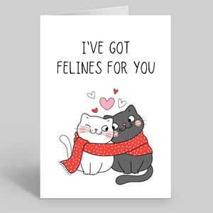 Felines Cat Valentines Card, Funny Cat Valentines Cards, Valentines Cat Cards, Cat Quotes Cards, Valentines Day Cat, Cat Cards, Felines