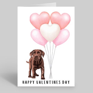 Cartes de Saint-Valentin du Labrador brun, cartes de Saint-Valentin du Labrador au chocolat, cartes de Saint-Valentin pour chiens, cartes de Saint-Valentin pour animaux de compagnie, cartes du Labrador