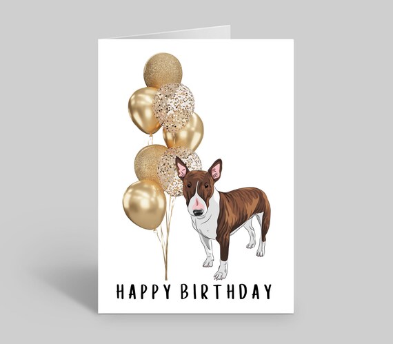 Dog Birthday Card | Custom Made Birthday Cards | Cards For Dog Lovers |  Cards For Pets | Quirky Birthday Cards | English Bull Terrier