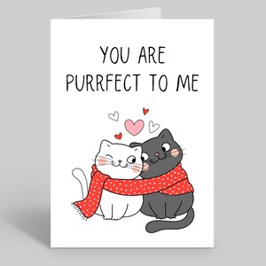 Carte de Saint-Valentin avec chat parfait, Carte de chat drôle, Cartes de Saint-Valentin chat, Cartes de chat de la Saint-Valentin, Cartes de citations de chat, Chat de la Saint-Valentin, Carte de chat