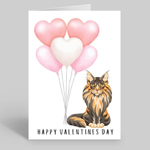 Maine Coon Valentines Day Card, Maine Coon Valentines Cards, Cat Valentines Day Cards, Pet Cat Valentines Cards,  Maine Coon Cat Cards