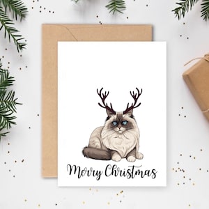 Carte De Noël Chat Ragdoll, Cartes De Noël Chat, Cartes Pour Les Amateurs De Chats, Cartes Pour Les Animaux De Compagnie, Cartes De Noël Pour Animaux De Compagnie, Cadeaux De Noël Chat, Cartes Chat
