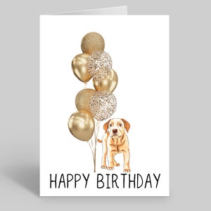carte d'anniversaire de chien | Cartes d'anniversaire personnalisées | cartes postales pour les amoureux des chiens | Cartes pour animaux de compagnie | Cartes d'anniversaire originales | Labrador retriever doré