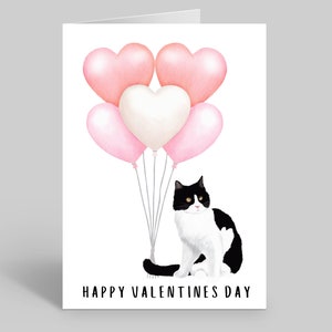 Cartes de Saint-Valentin avec chat noir et blanc, Cartes de Saint-Valentin avec chat, Cartes de Saint-Valentin avec chat, Cartes de Saint-Valentin avec chat, Cartes chat, Cartes pour chats, Chats noir et blanc