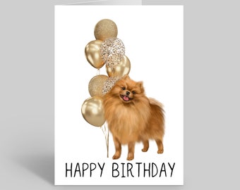 Biglietto Di Auguri Per Compleanno Con Cane Pomerania - Simpatico E Adorabile - Formato 145mm X 145mm - Prodotto In UK Su Carta Riciclata FSC