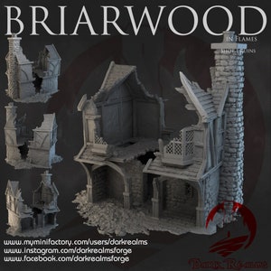 Dark Realms Briarwood - Shop 1 Ruins DnD Miniature Terrain for Dungeons and Dragons, D&D, D and D, Wargaming, Tabletop, Gifts, Pathfinder
