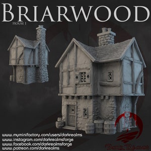 Dark Realms Briarwood House 1 DnD Miniature Terrain for Dungeons and Dragons, D&D, D and D, Pathfinder, Tabletop, Wargaming