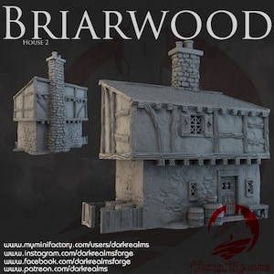 Dark Realms Briarwood House 2 DnD Miniature Terrain for Dungeons and Dragons, D&D, D and D, Pathfinder, Tabletop, Wargaming