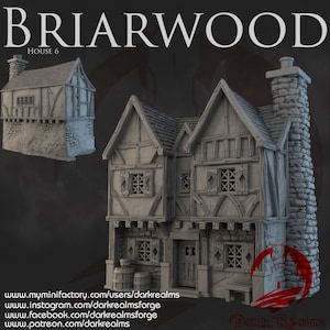 Dark Realms Briarwood House 6 DnD Miniature Terrain for Dungeons and Dragons, D&D, D and D, Pathfinder, Tabletop, Wargaming