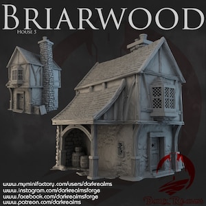 Dark Realms Briarwood House 5 DnD Miniature Terrain for Dungeons and Dragons, D&D, D and D, Pathfinder, Tabletop, Wargaming