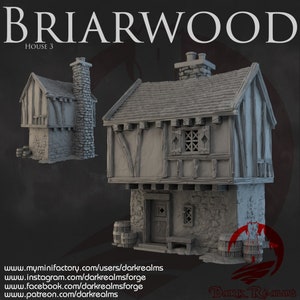 Dark Realms Briarwood House 3 DnD Miniature Terrain for Dungeons and Dragons, D&D, D and D, Pathfinder, Tabletop, Wargaming