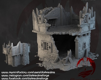 Dark Realms Briarwood - House 1 Ruins DnD Miniature Terrain for Dungeons and Dragons, D&D, D and D, Wargaming, Tabletop, Gifts, Pathfinder