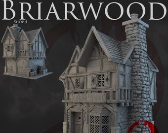 Dark Realms Briarwood Shop 4 DnD Miniature Terrain for Dungeons and Dragons, D&D, D and D, Wargaming, Tabletop, Gifts