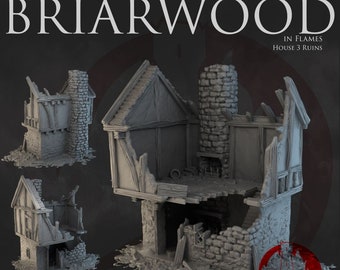 Dark Realms Briarwood - House 3 Ruins DnD Miniature Terrain for Dungeons and Dragons, D&D, D and D, Wargaming, Tabletop, Gifts, Pathfinder