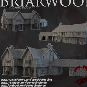 Dark Realms Briarwood Leaping Frog Inn DnD Miniature Terrain for Dungeons and Dragons, D&D, D and D, Wargaming, Pathfinder, Tabletop