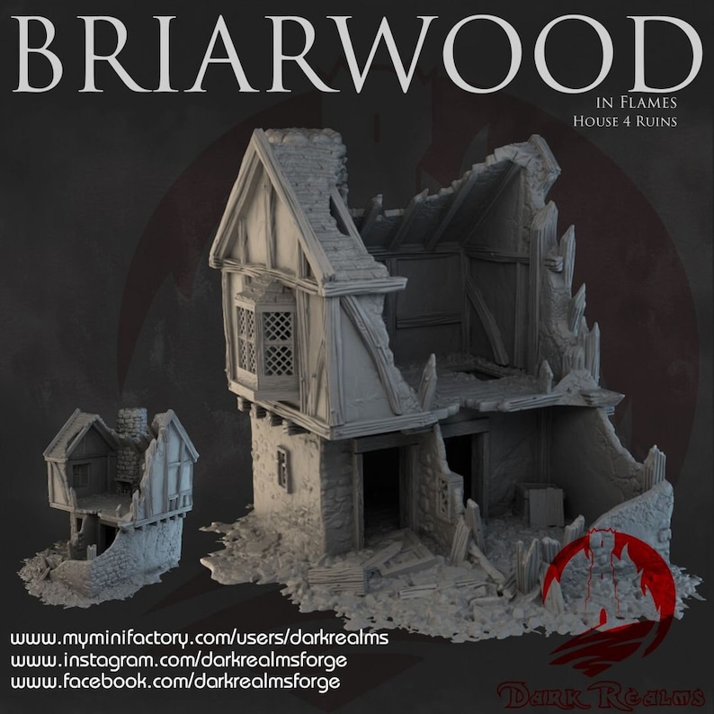 Dark Realms Briarwood House 4 Ruins DnD Miniature Terrain for Dungeons and Dragons, D&D, D and D, Wargaming, Tabletop, Gifts, Pathfinder image 1