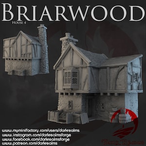 Dark Realms Briarwood House 4 DnD Miniature Terrain for Dungeons and Dragons, D&D, D and D, Pathfinder, Tabletop, Wargaming