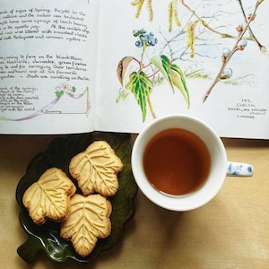 May include: A still-life image featuring leaf-shaped cookies on a green leaf-shaped plate, a cup of tea, and an open book with botanical illustrations. The cookies are golden brown, and the tea is a rich brown color. The book has handwritten text and drawings.