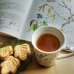May include: A cup of tea with a floral design sits next to leaf-shaped cookies on a green plate. An open book with botanical illustrations and handwritten notes is in the background, creating a cozy, nature-inspired scene.