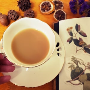 May include: A white teacup and saucer with a gold rim, filled with light brown tea. The teacup is being held by a hand. The teacup and saucer are on a wooden table with dried flowers and fruit.