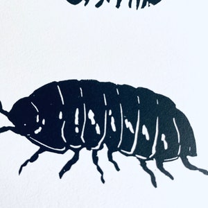 Woodlouse Linocut Print-Insect print-Pill Bug Print-Nature Art-Wall Decor-Wildlife Print-Handmade lino print image 3