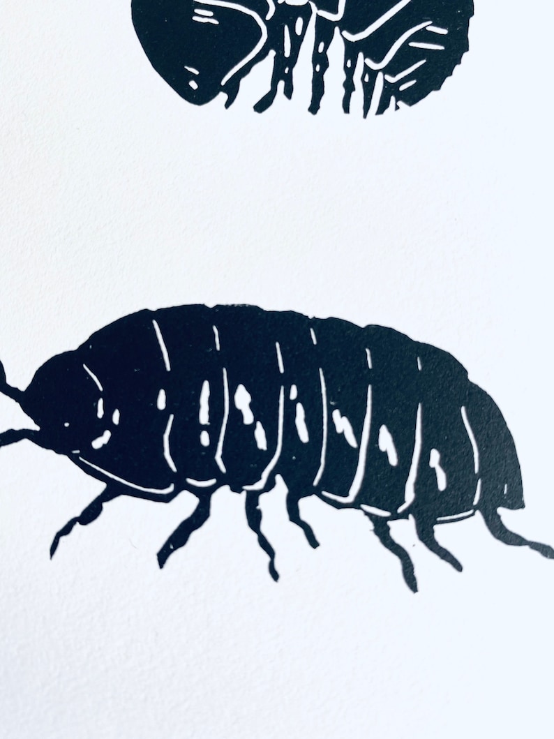 Woodlouse Linocut Print-Insect print-Pill Bug Print-Nature Art-Wall Decor-Wildlife Print-Handmade lino print image 3