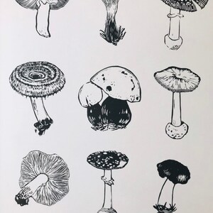 May include: Black and white line art illustration of nine different types of mushrooms. The mushrooms are drawn in a realistic style and are arranged in a grid pattern.