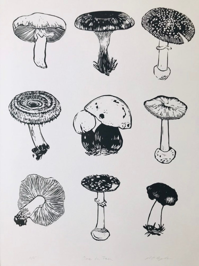 May include: Black and white line art illustration of nine different types of mushrooms. The mushrooms are drawn in a realistic style and are arranged in a grid pattern.