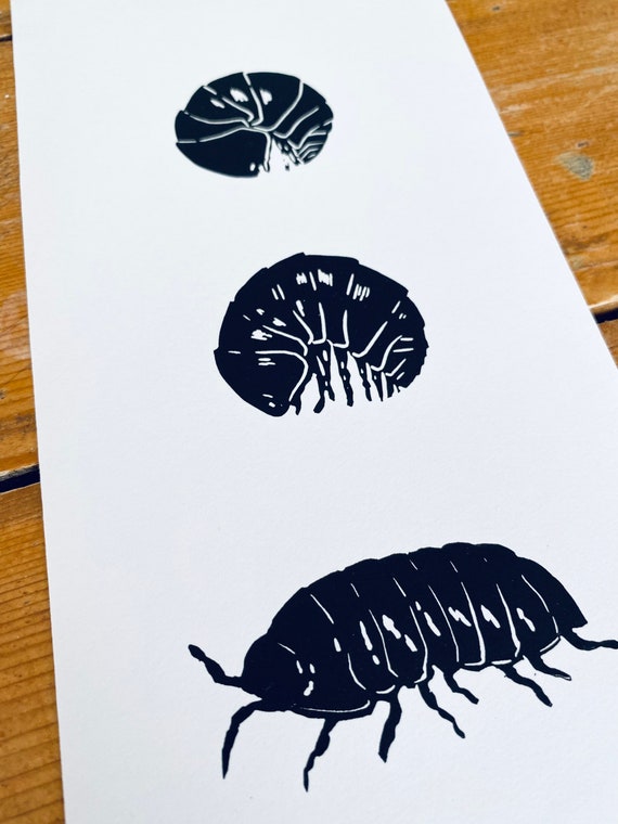 Woodlouse Linocut Print-Insect print-Pill Bug Print-Nature Art-Wall Decor-Wildlife Print-Handmade lino print