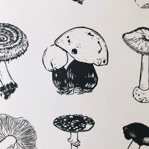 May include: Black and white line art illustration of various mushrooms. The illustration features different types of mushrooms with varying shapes and sizes.