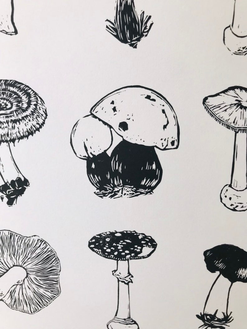 May include: Black and white line art illustration of various mushrooms. The illustration features different types of mushrooms with varying shapes and sizes.