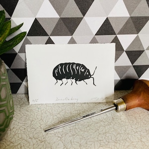 Linogravure cloporte, impression d'insectes, impression d'insectes des pilules, impression d'art nature, décoration murale, impression d'animaux sauvages, impression lino faite main