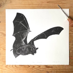 May include: Black and white linocut print of a bat in flight. The bat is depicted with its wings spread wide, and its body is facing the viewer. The print is titled "The Barred".