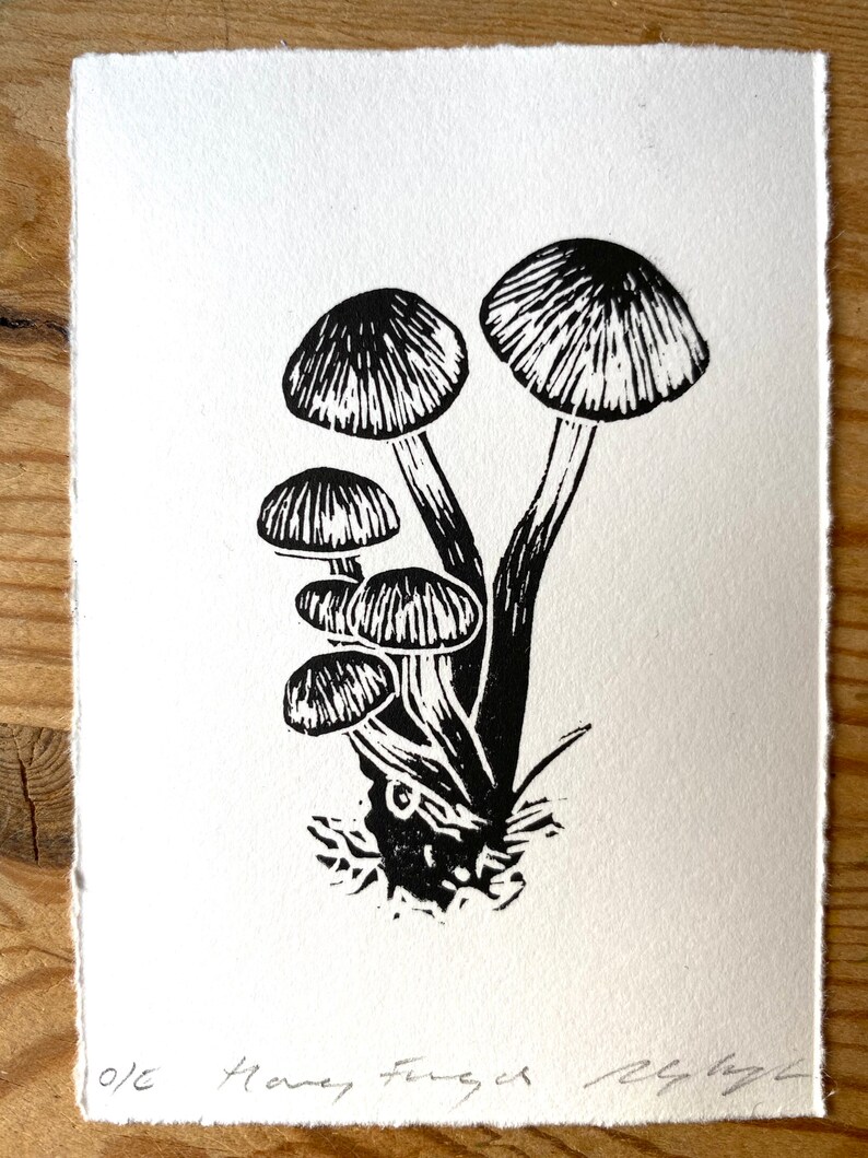 May include: A black and white linocut print of mushrooms. The print features several mushrooms with detailed caps and stems, clustered together. The artwork is on textured, off-white paper. The artist's signature and the words "Honey Fungus" are visible.