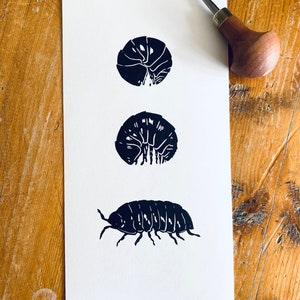 Woodlouse Linocut Print-Insect print-Pill Bug Print-Nature Art-Wall Decor-Wildlife Print-Handmade lino print image 2