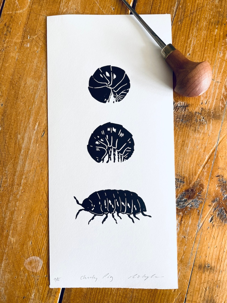 Woodlouse Linocut Print-Insect print-Pill Bug Print-Nature Art-Wall Decor-Wildlife Print-Handmade lino print image 2