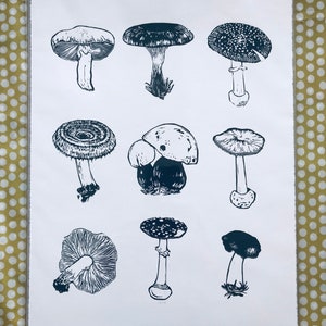 May include: A black and white print of nine different types of mushrooms. The print is titled "One in Ten" and is numbered 0/6.