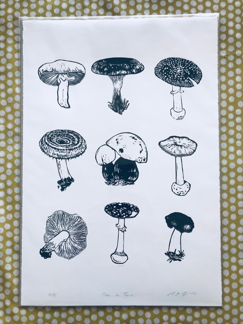 May include: A black and white print of nine different types of mushrooms. The print is titled "One in Ten" and is numbered 0/6.