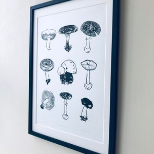 May include: A black and white framed print of a mushroom illustration. The print features nine different types of mushrooms with detailed drawings of their caps and stems.